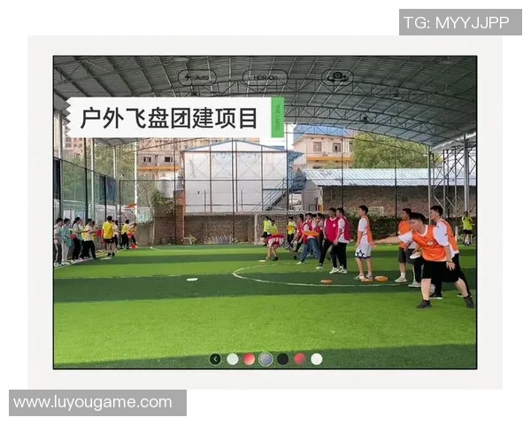 飞盘运动的魅力与挑战广州飞盘队的团队意识与发展之路